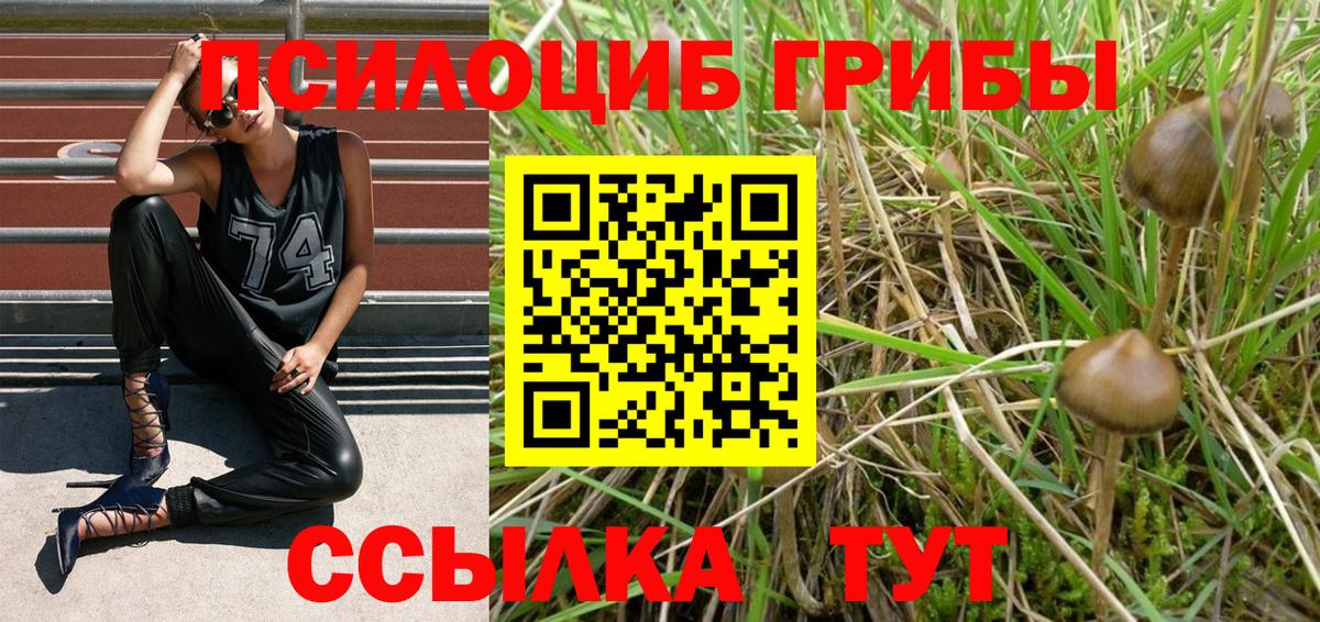Псилоцибиновые грибы мицелий  Галлюциногенные грибы GOLDEN TEACHER  Вход с VPN  Долгопрудный 
