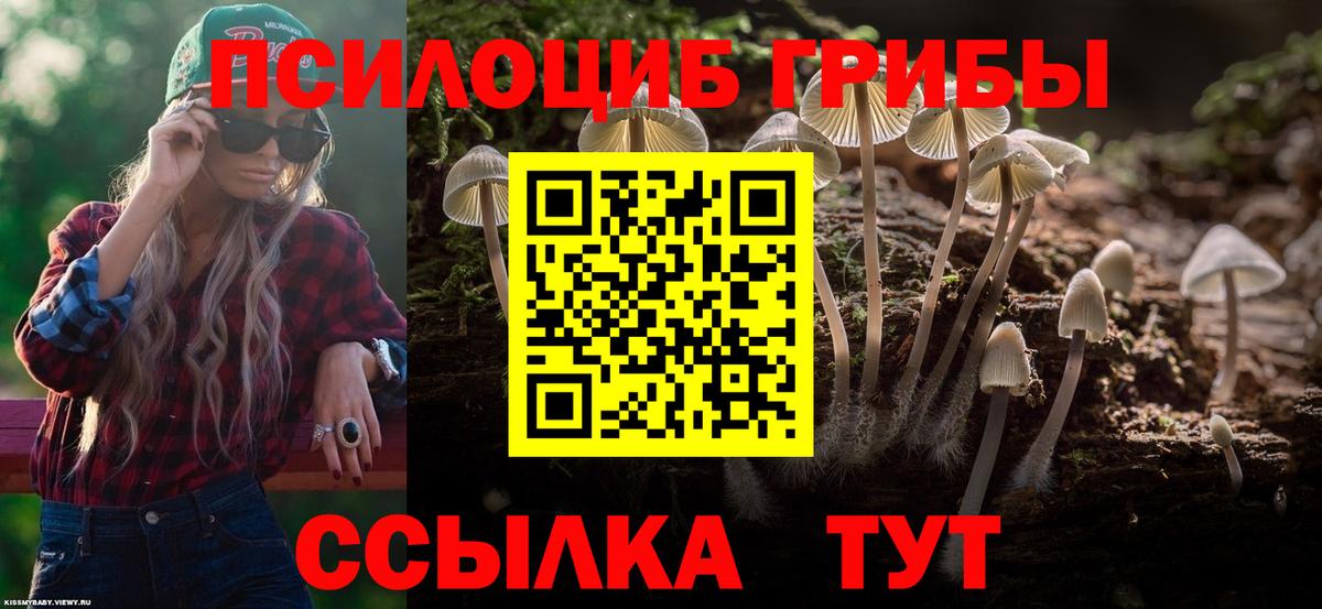 Галлюциногенные грибы Magic Shrooms Долгопрудный